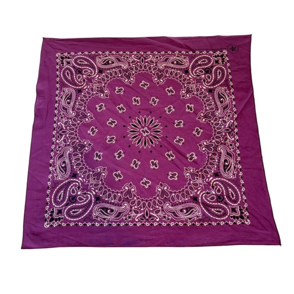 hav-a-hank Accessories - Hav-A-Hank Purple Bandana